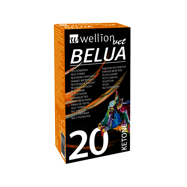 Wellion Vet BELUA ketone teststrips (cow), box of 110 (кетон 110 тест полосок)