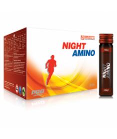 Dynamic Night Amino 25*11ml