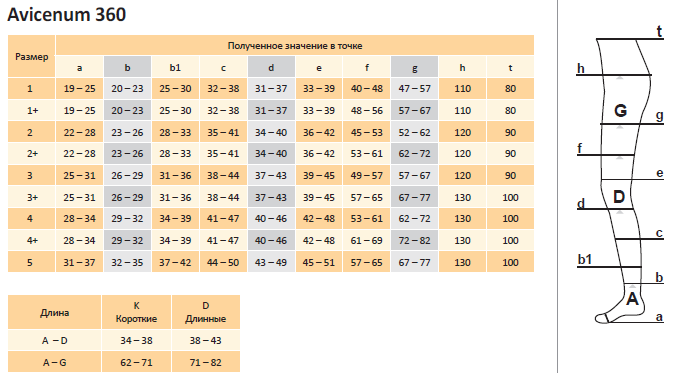 Размер чулок 2. Avicenum компрессионные чулки 2 класс компрессии Размерная сетка. Компрессионные чулки Avicenum Размерная сетка. Авиценум Размерная сетка. Авиценум Размерная сетка чулков.